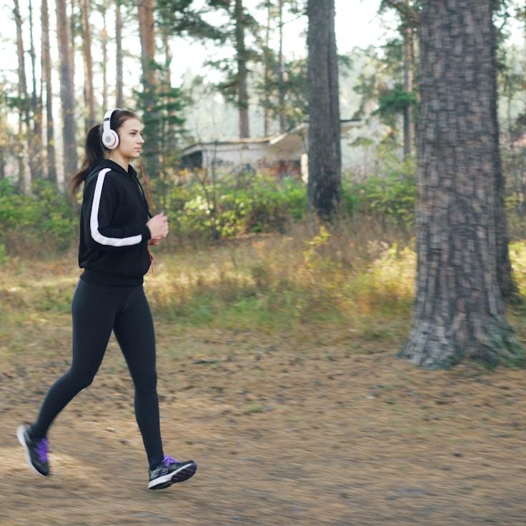 Modern gym equipment in a refined fitness space